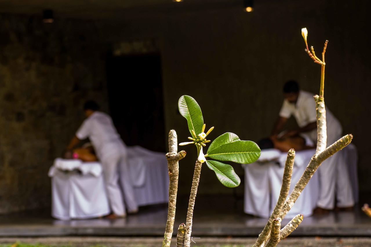 Santani Wellness Kandy Eksteriør billede